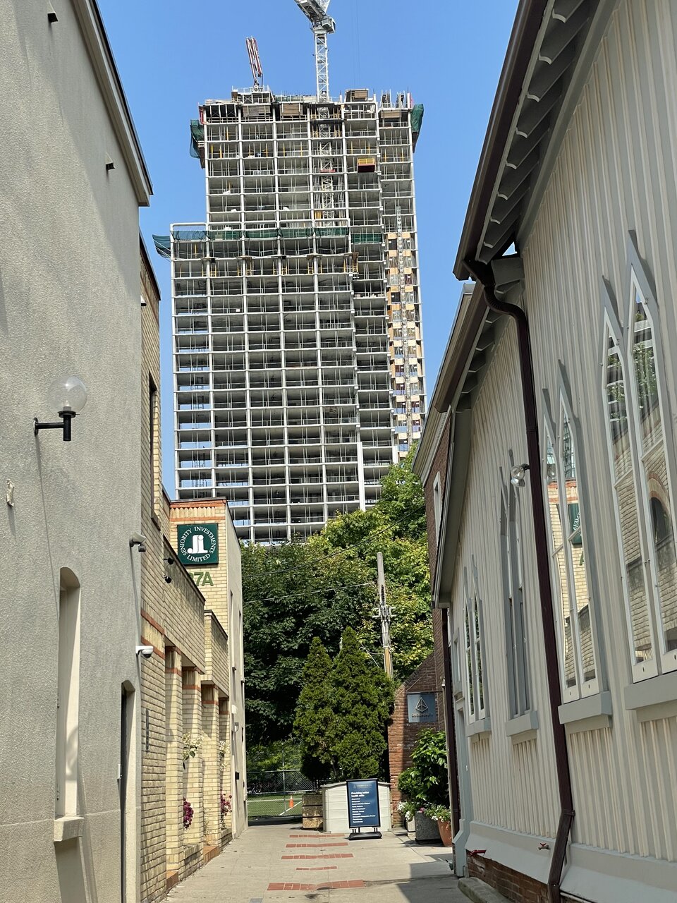 IMG_3299.jpeg