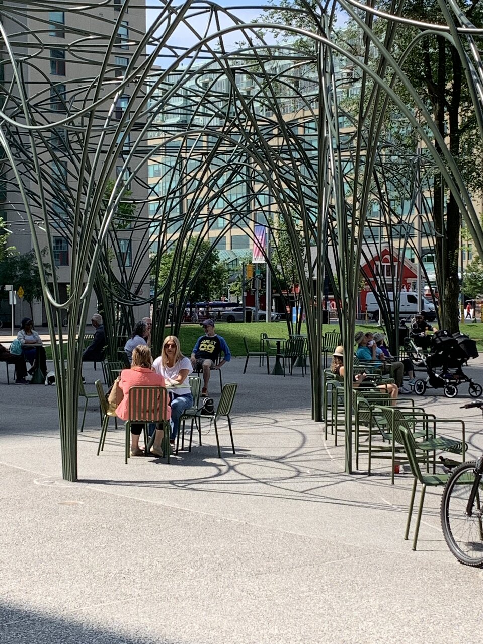 IMG_3462.jpeg
