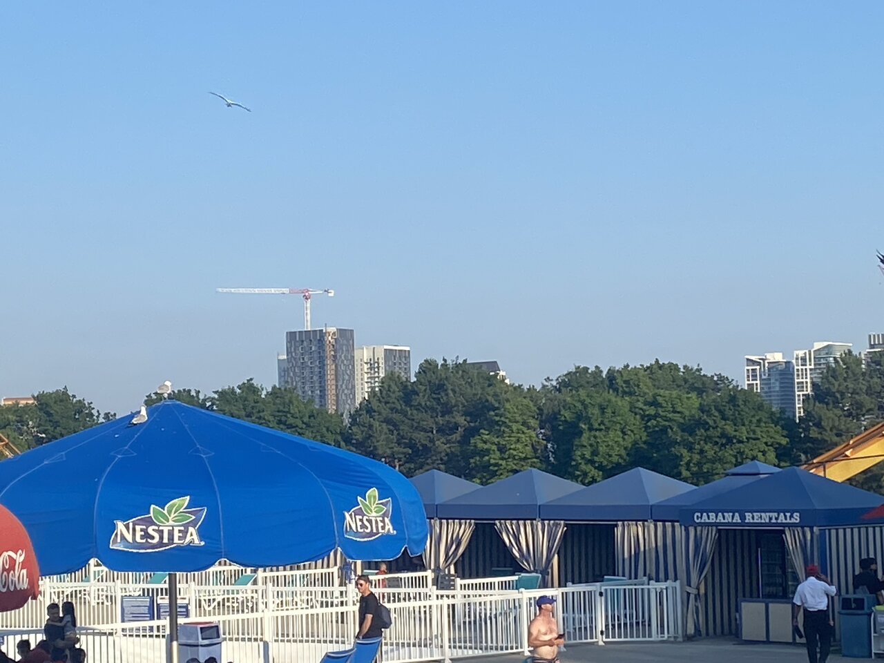 IMG_3471.jpeg