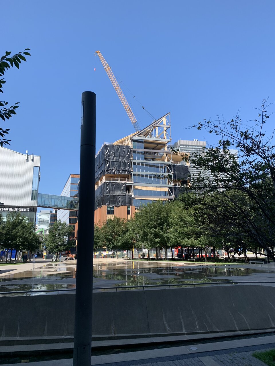 IMG_3483.jpeg