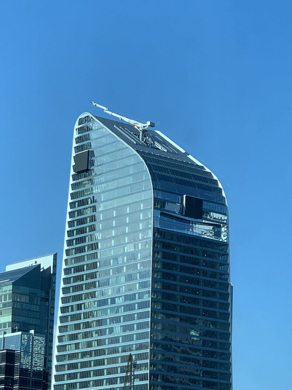 IMG_3581.jpeg