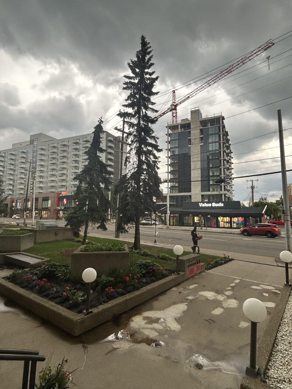 IMG_3627.jpeg