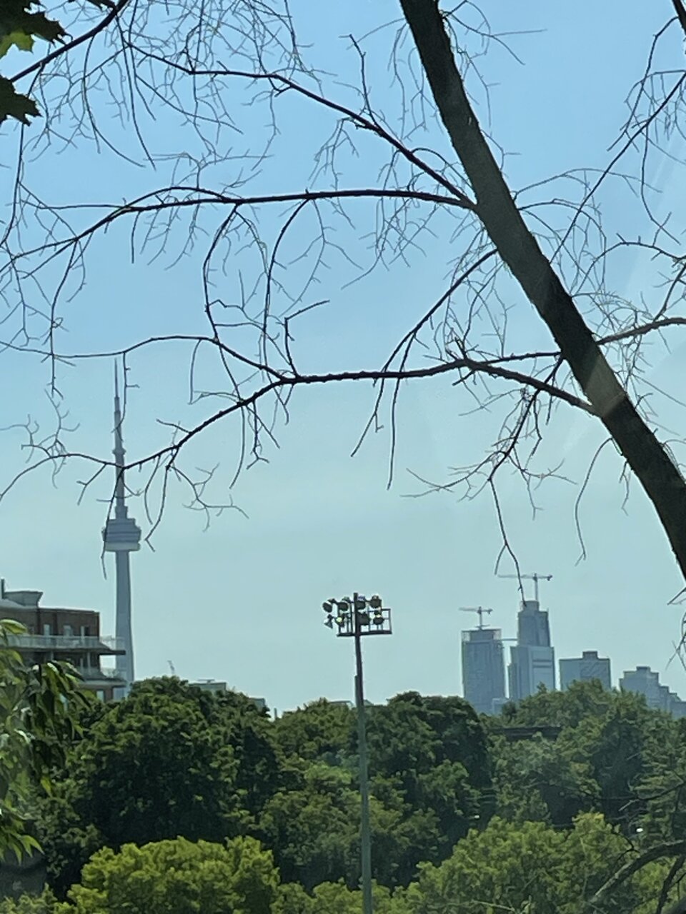 IMG_3670.jpeg