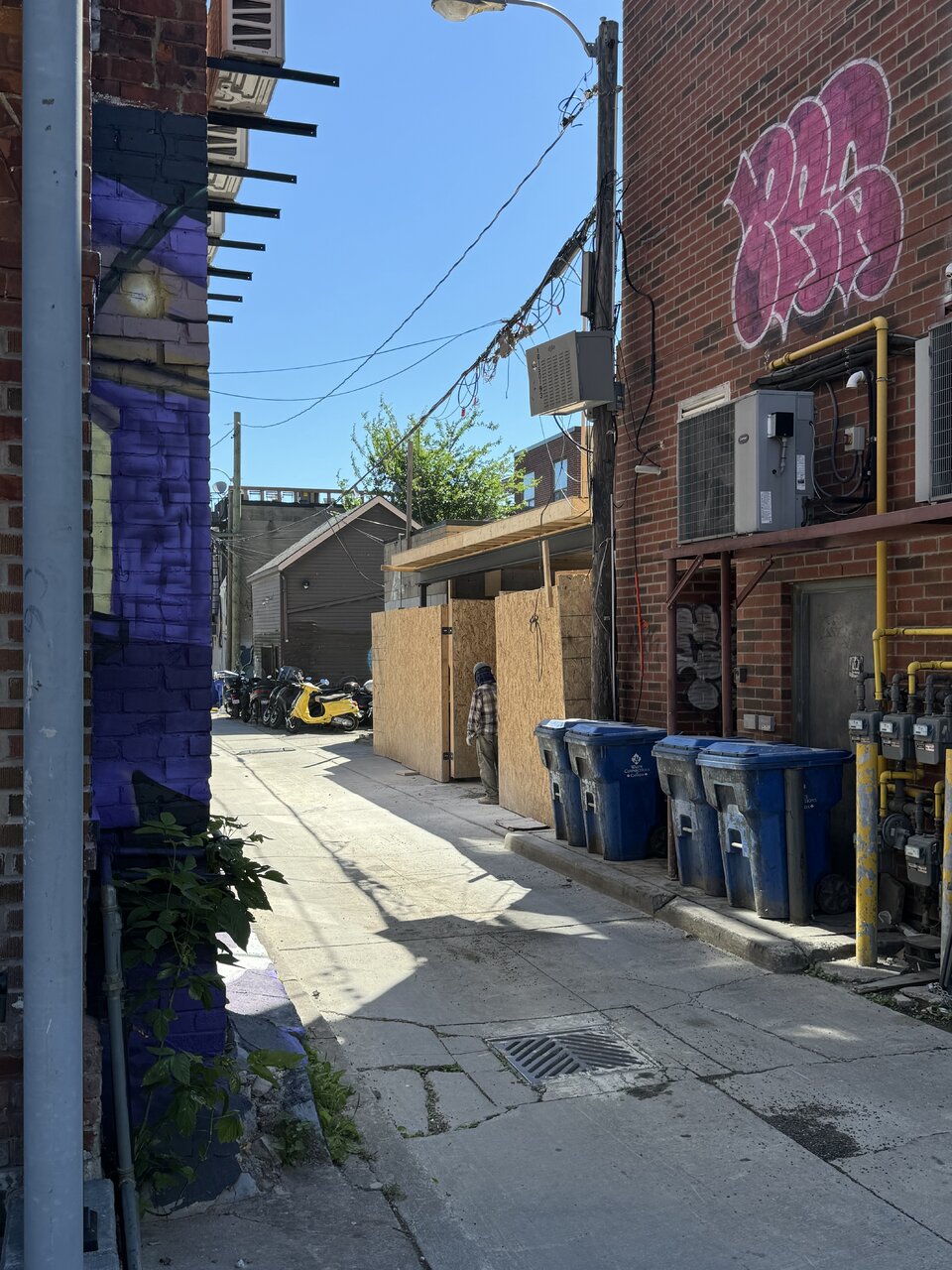 IMG_3680.jpeg