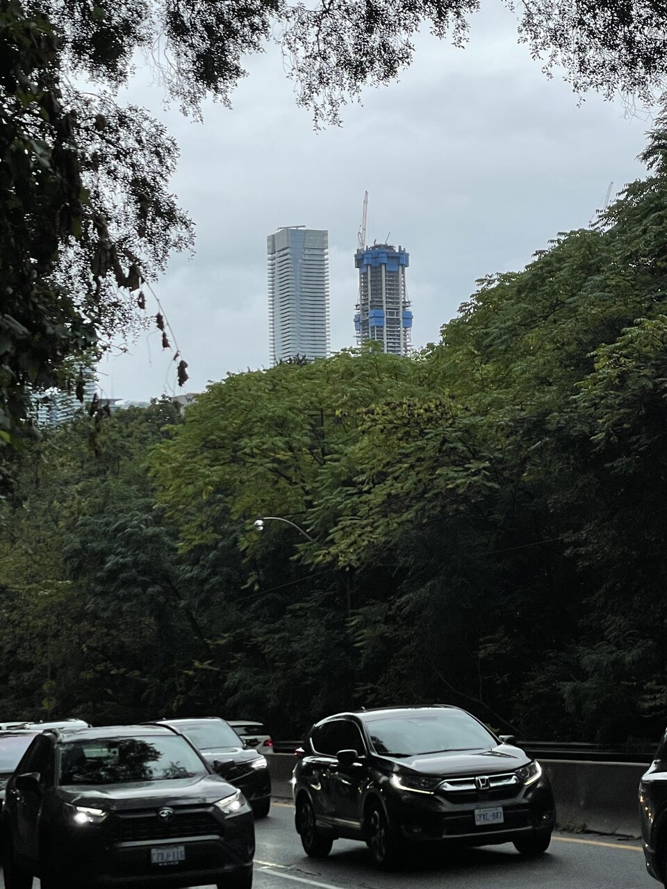 IMG_3689.jpeg