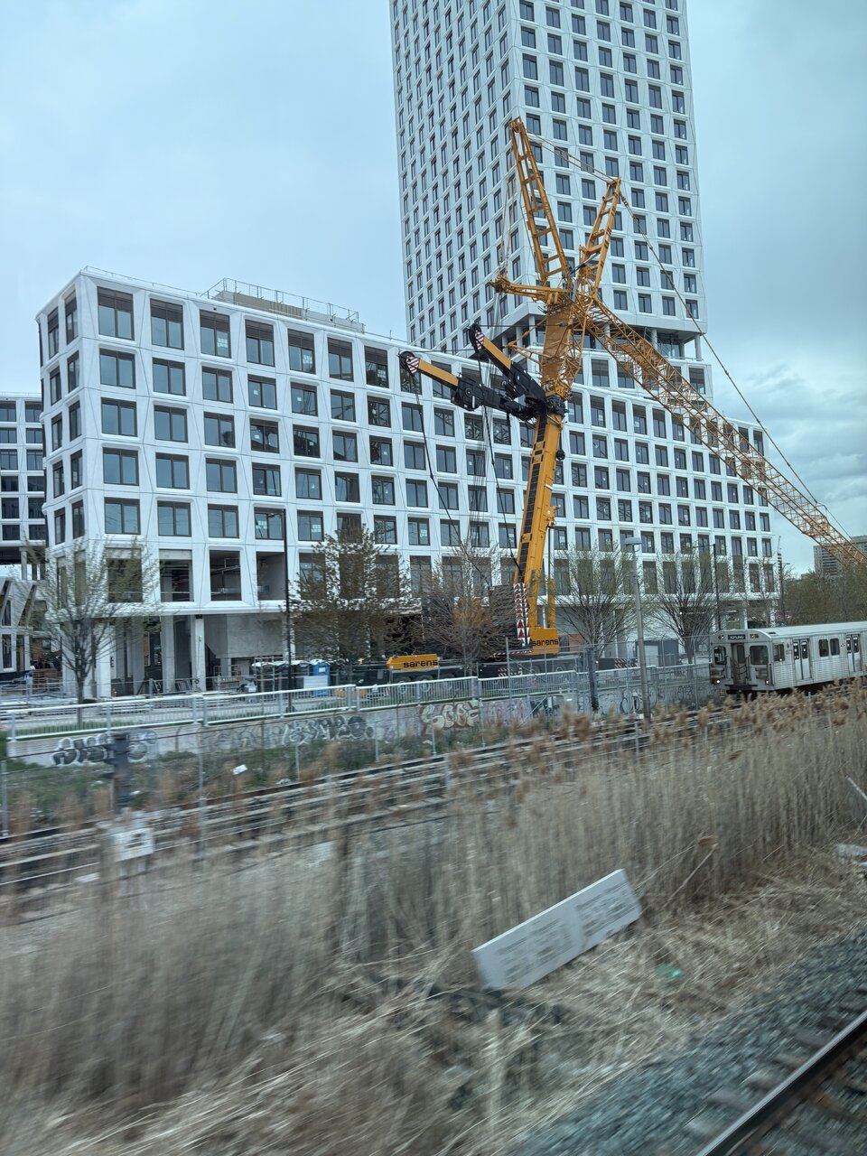 IMG_3694.jpeg