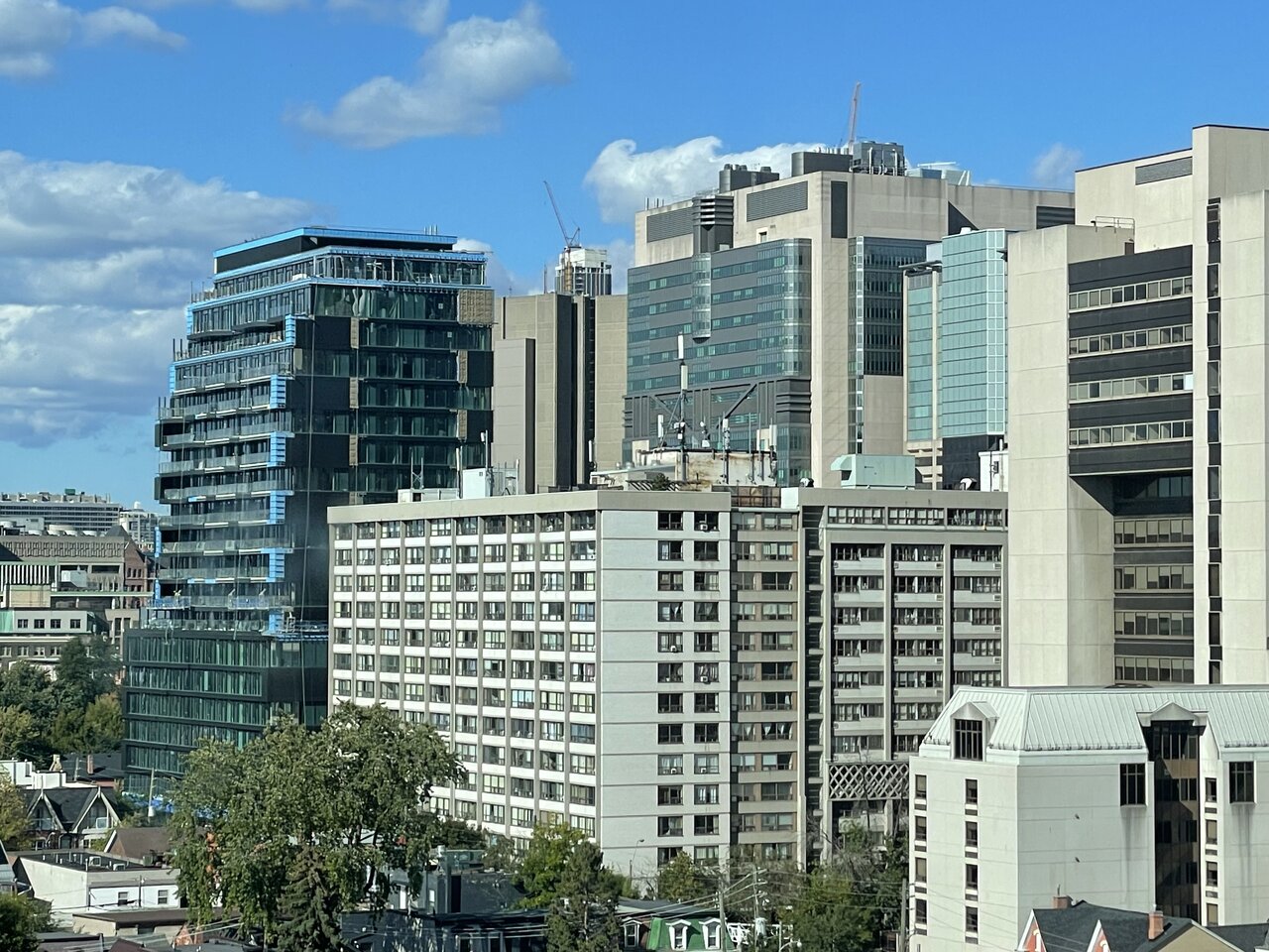 IMG_3702.jpeg
