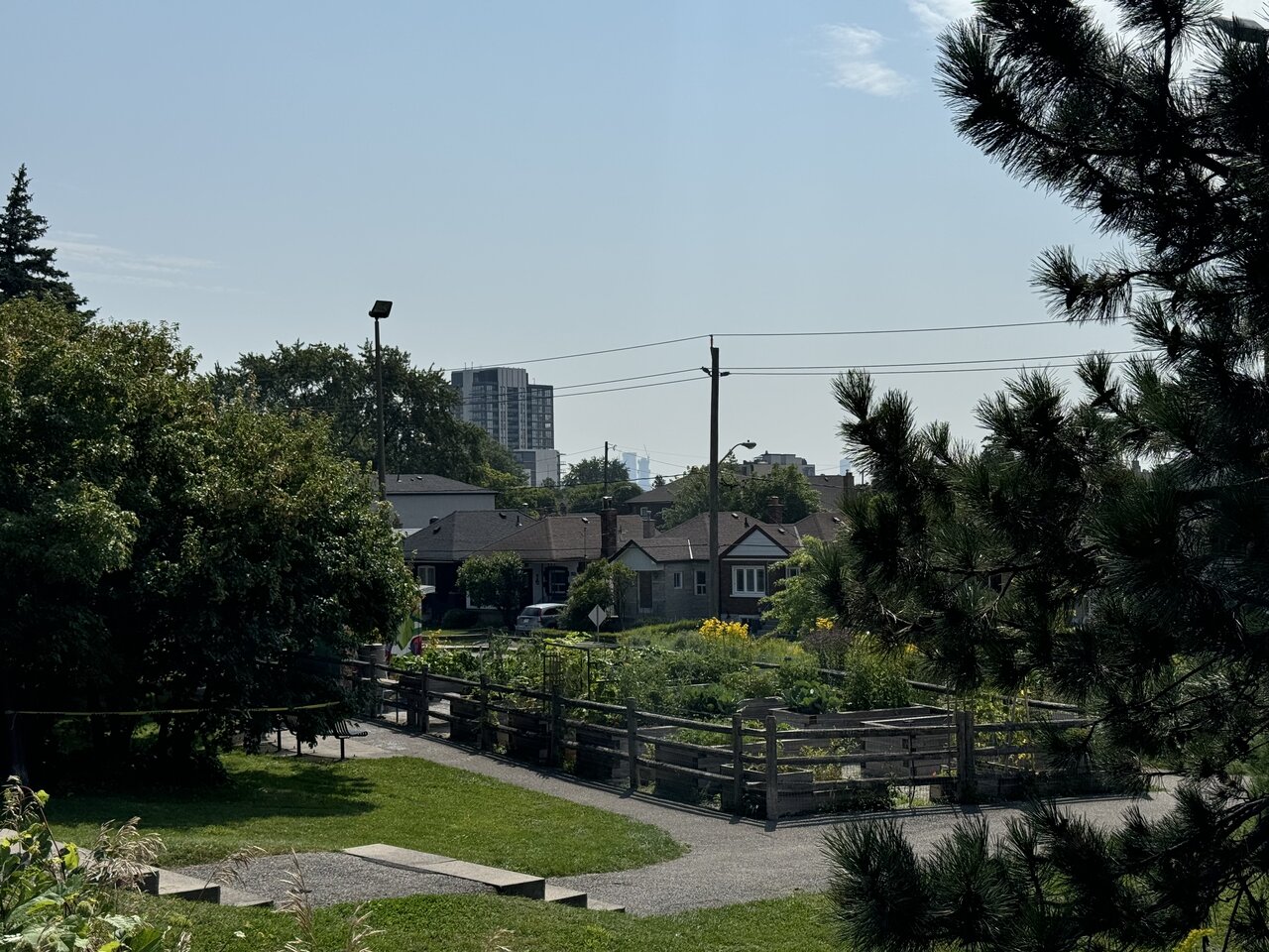 IMG_3715.jpeg