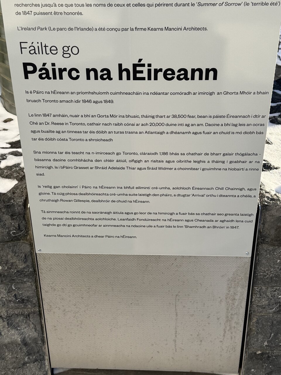IMG_3745.jpeg