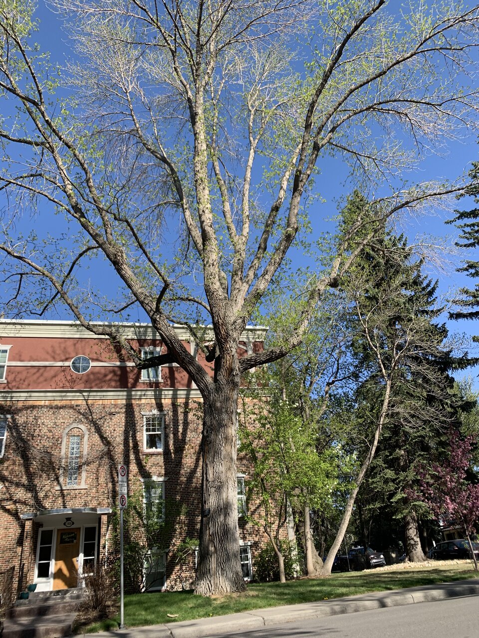 IMG_3750.jpeg