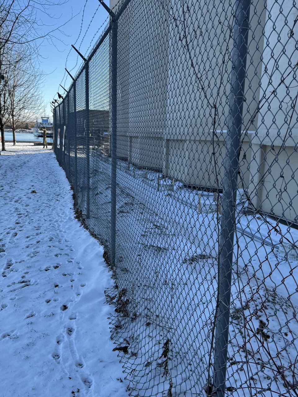 IMG_3753.jpeg