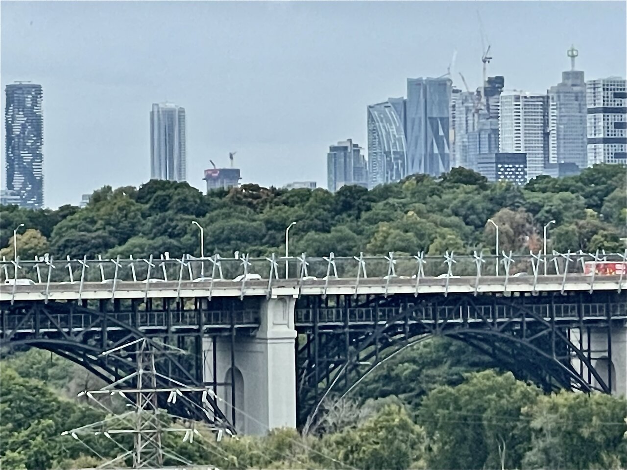 IMG_3756.jpeg