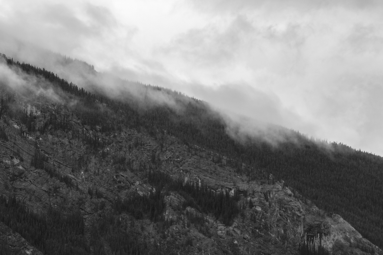 IMG_3772.jpg