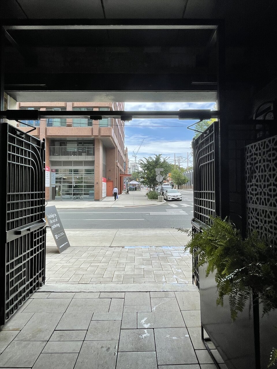 IMG_3822.jpeg