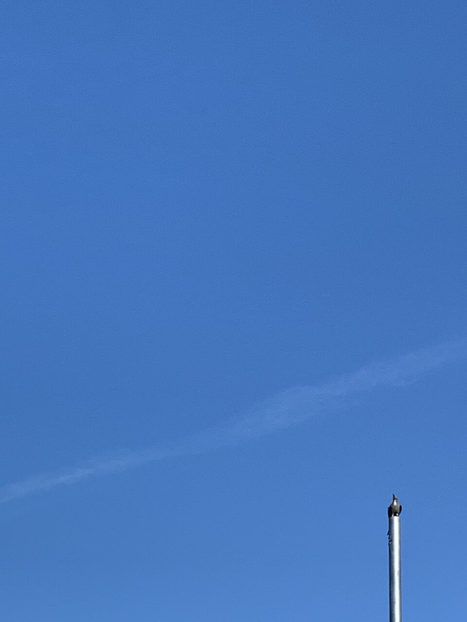 IMG_3869.jpeg