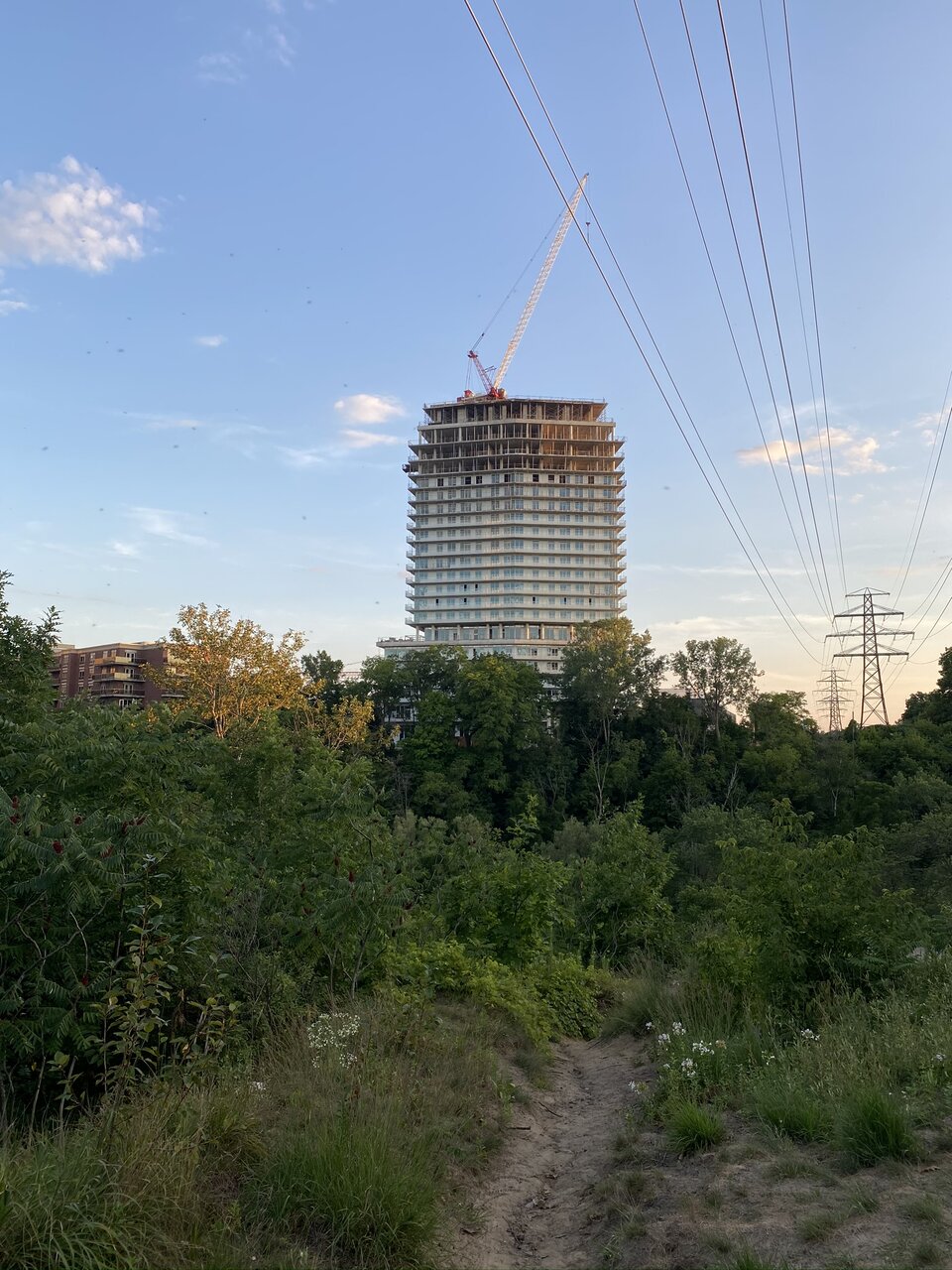 IMG_3944.JPEG