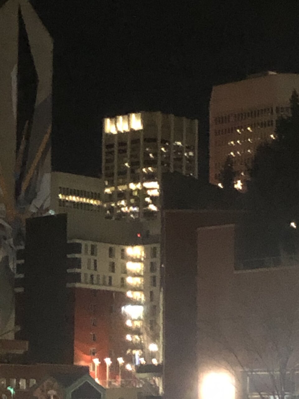 IMG_3980.jpeg