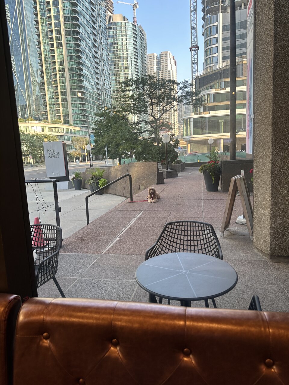 IMG_4064.jpeg