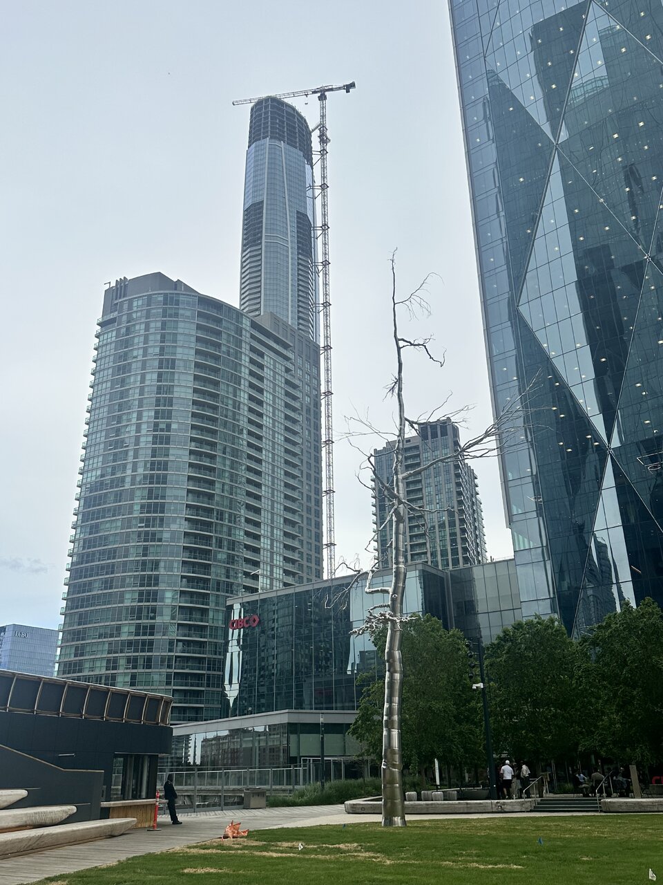IMG_4092.jpeg