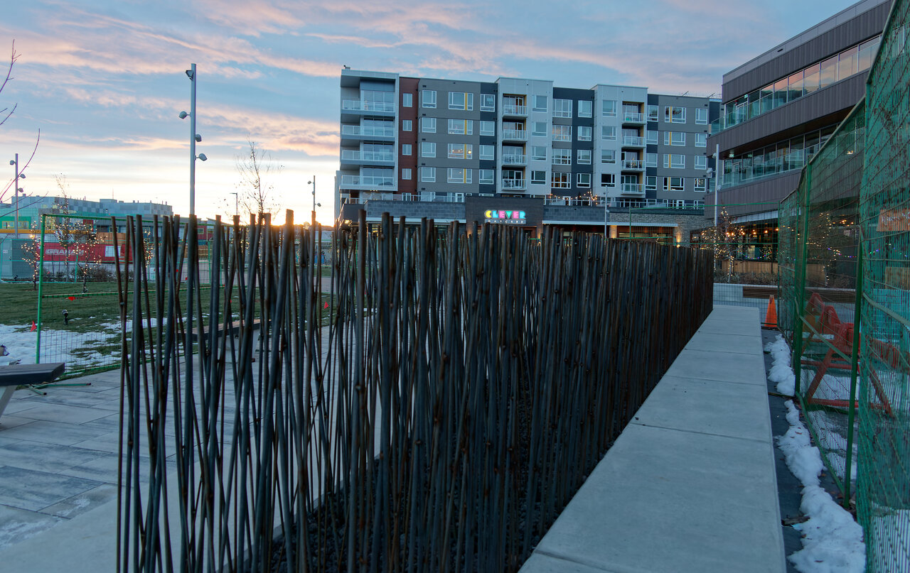 IMG_4445exp.jpg IMG_4445exp.jpg