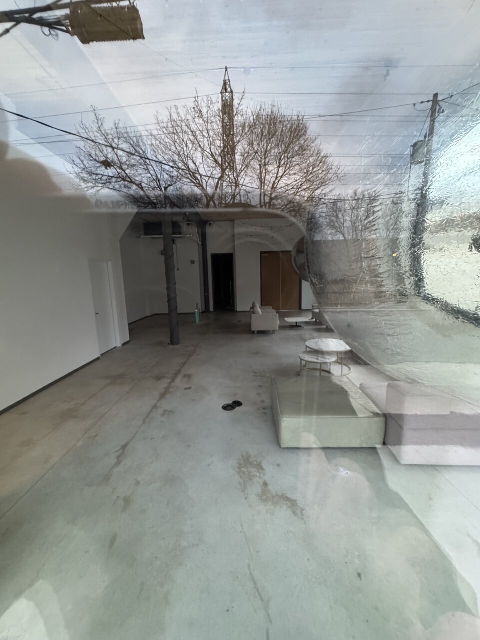 IMG_4486.jpeg