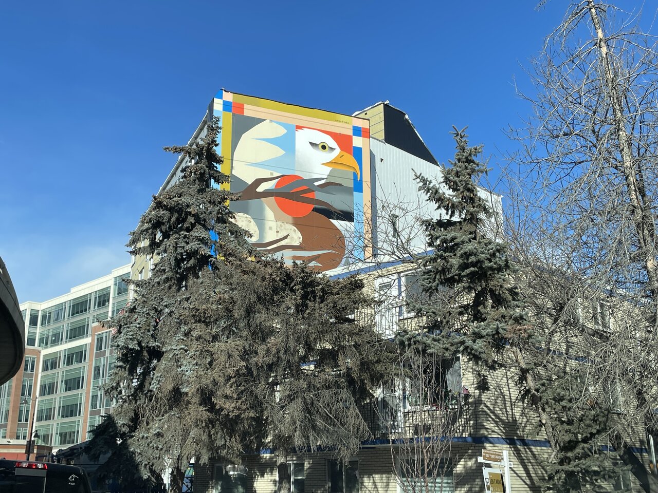 IMG_4534.jpeg