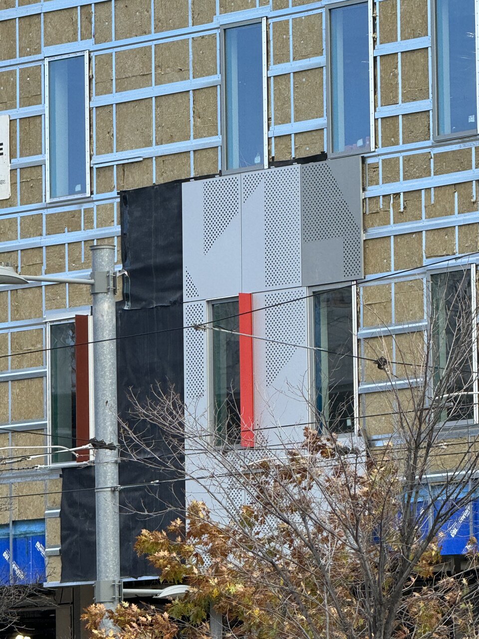 IMG_4631.jpeg