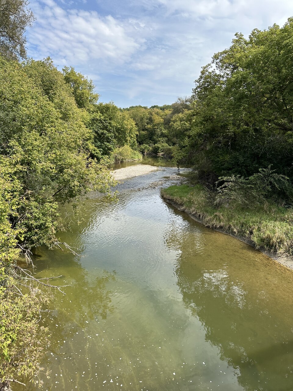IMG_4689.jpeg
