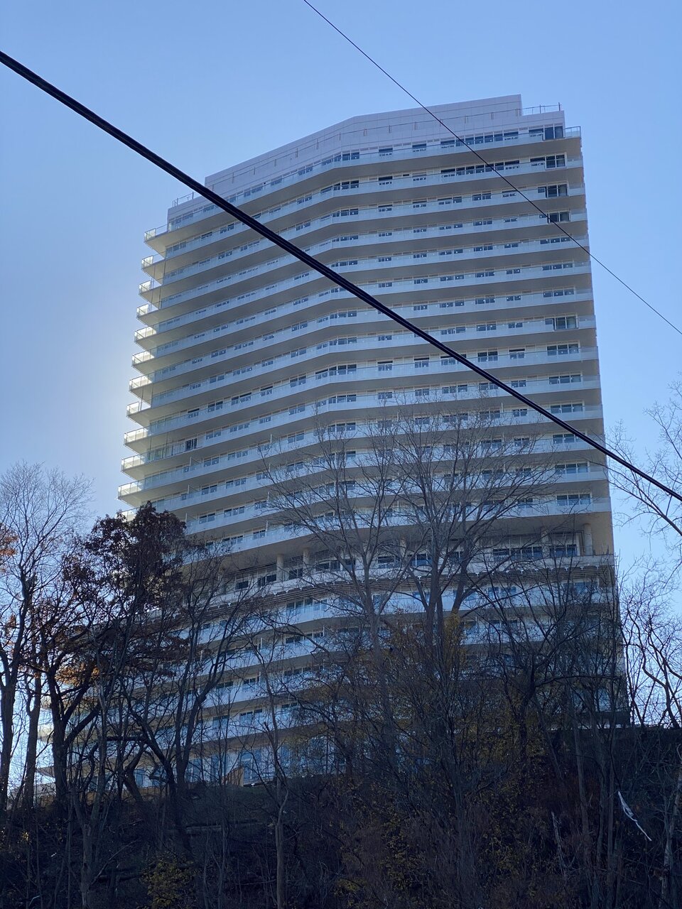 IMG_4983.JPEG