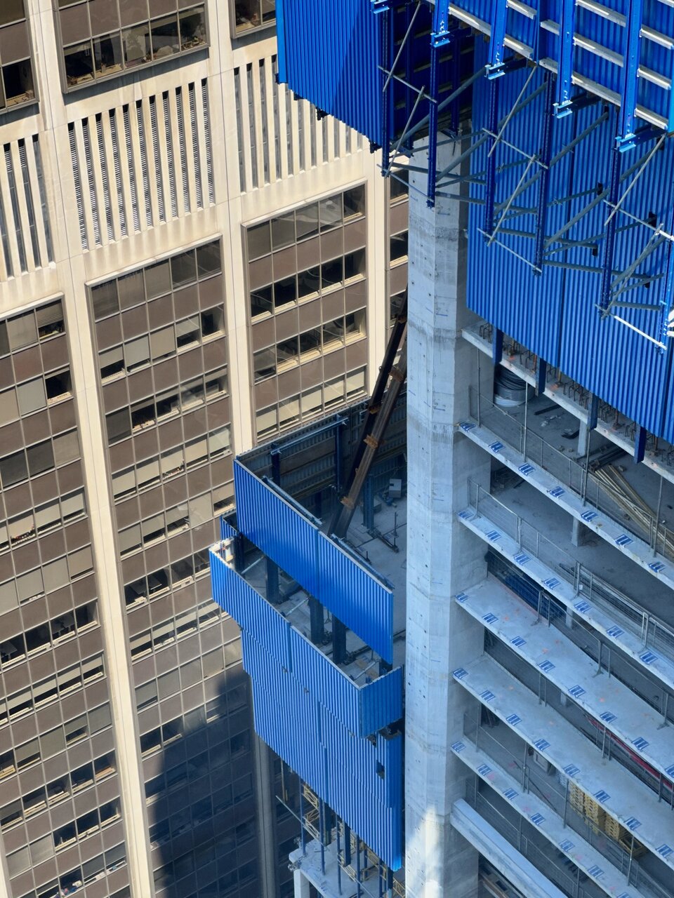 IMG_5022D.jpeg