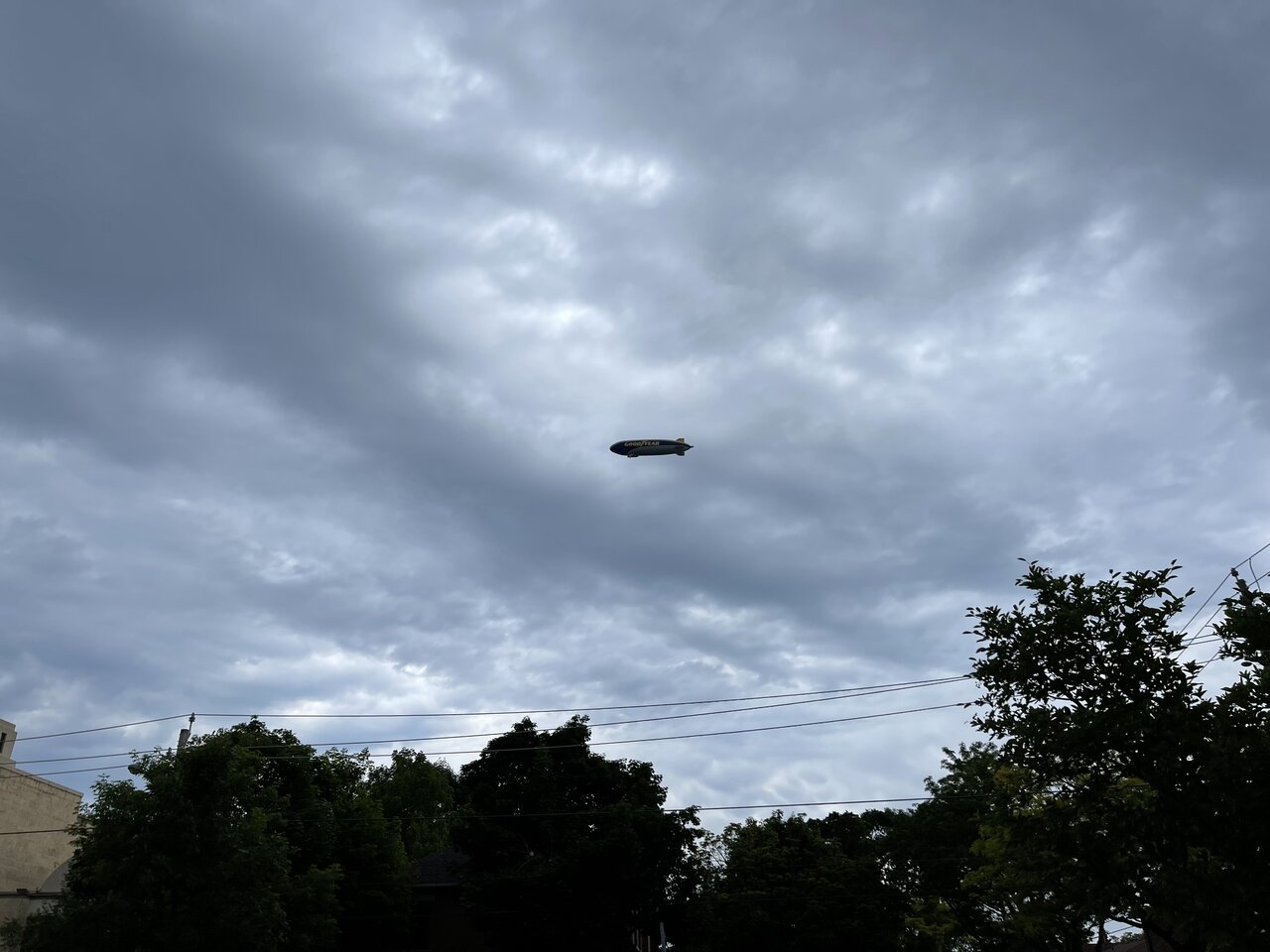 IMG_5083.jpeg