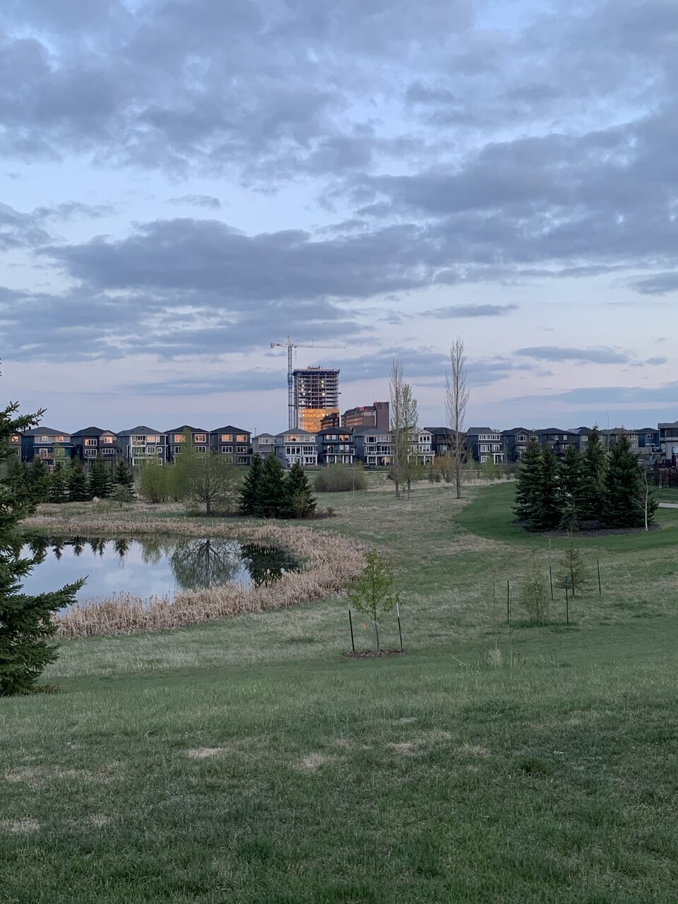 IMG_5353.jpeg