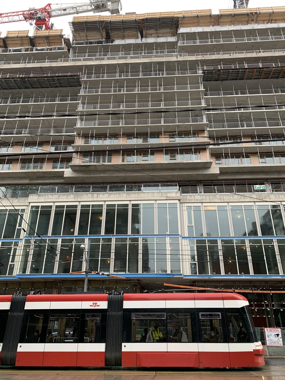 IMG_5481.jpeg