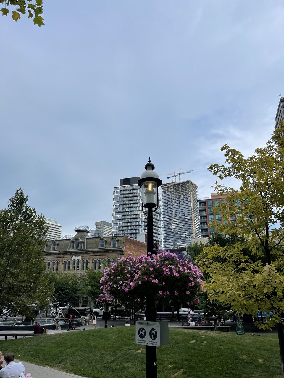 IMG_5644.jpeg