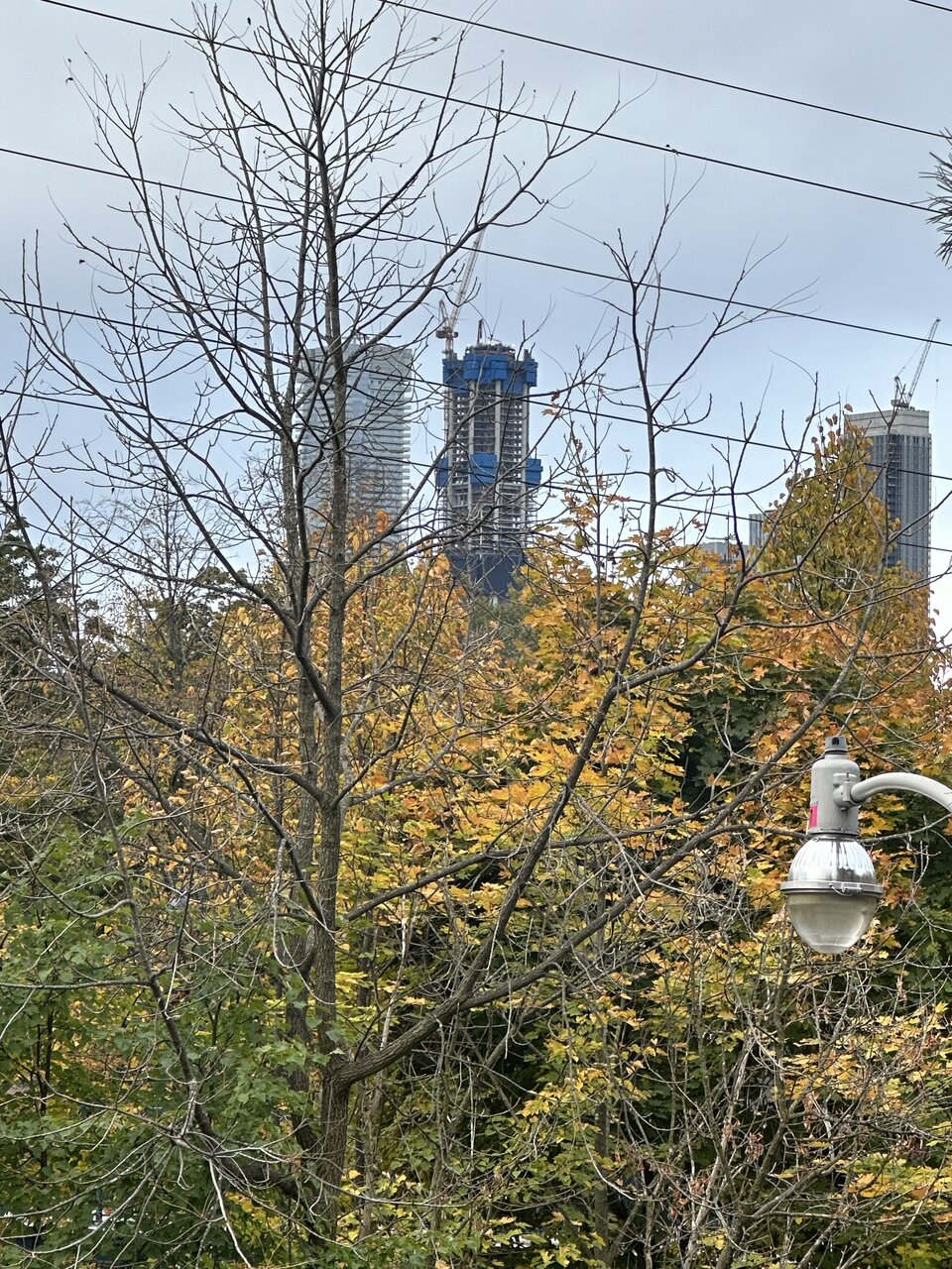 IMG_5737.jpeg