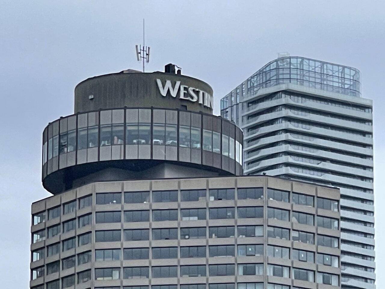 IMG_5868.jpeg