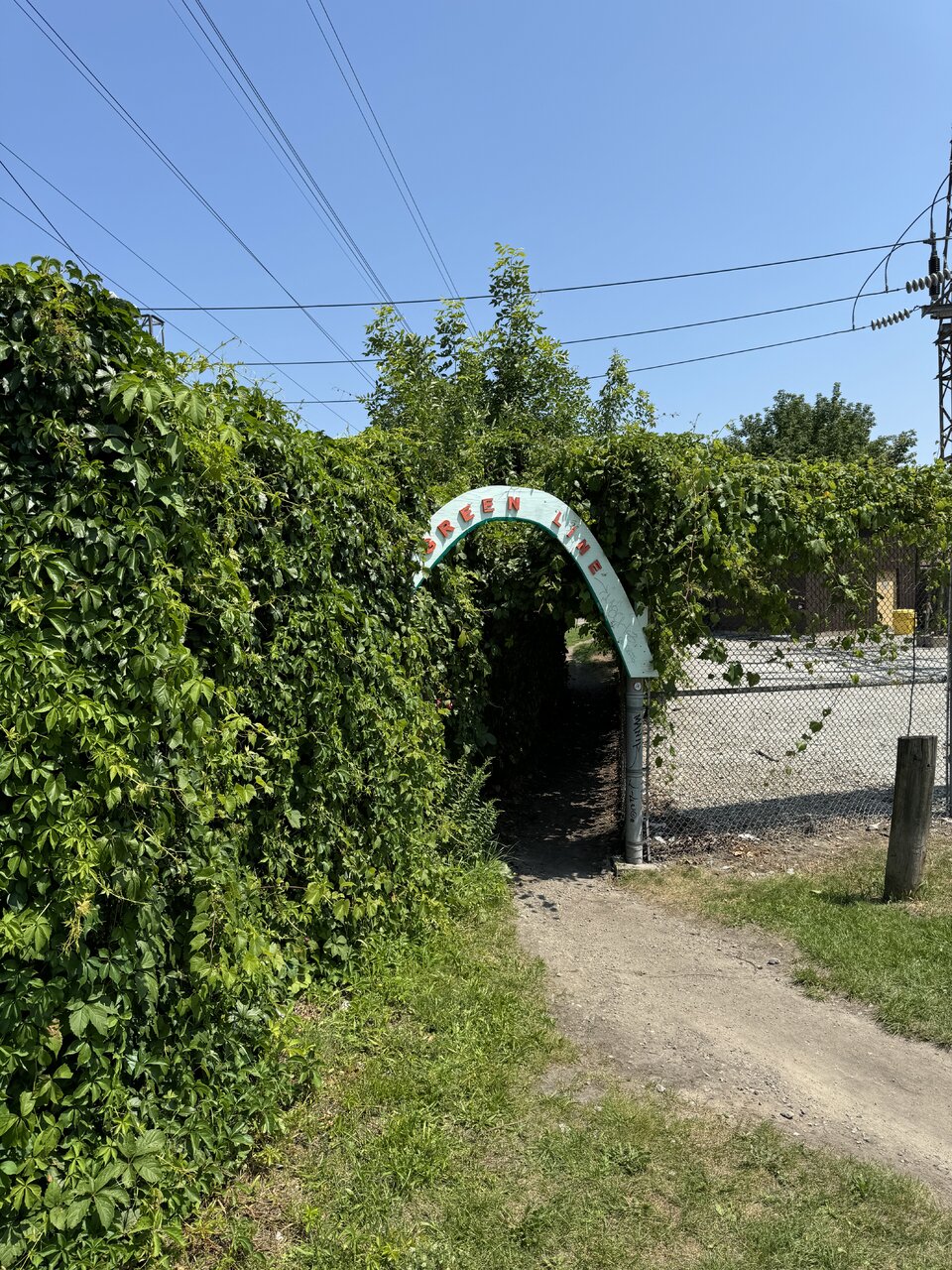 IMG_5874.jpeg