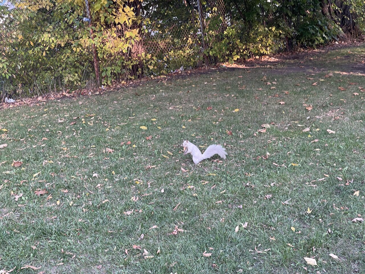 IMG_6162.jpeg