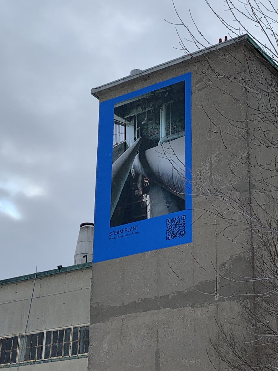IMG_6249.jpeg