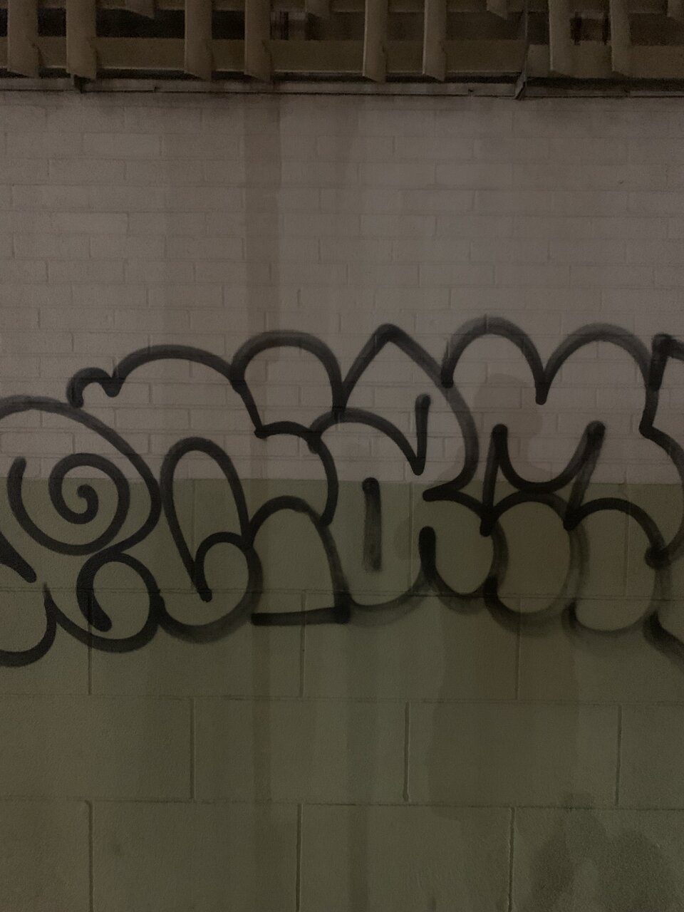 IMG_6259.jpeg