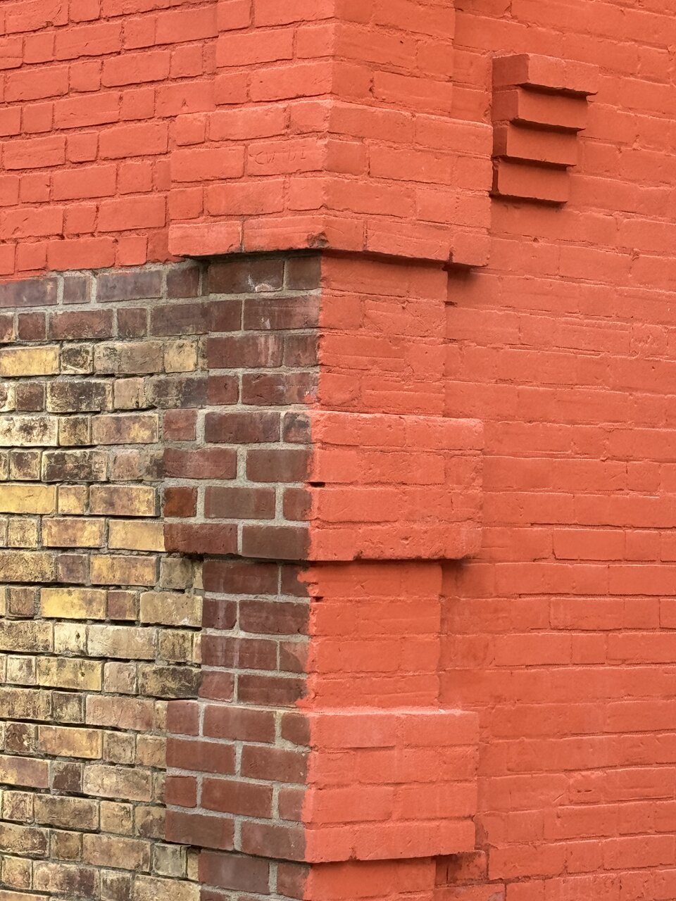 IMG_6295.jpeg
