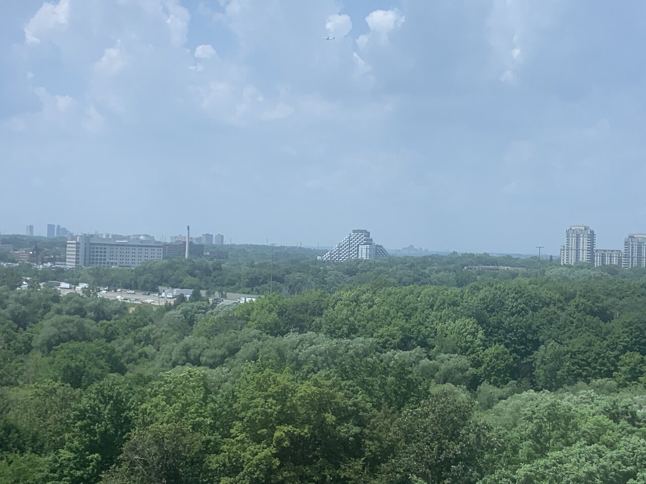IMG_6350.JPG