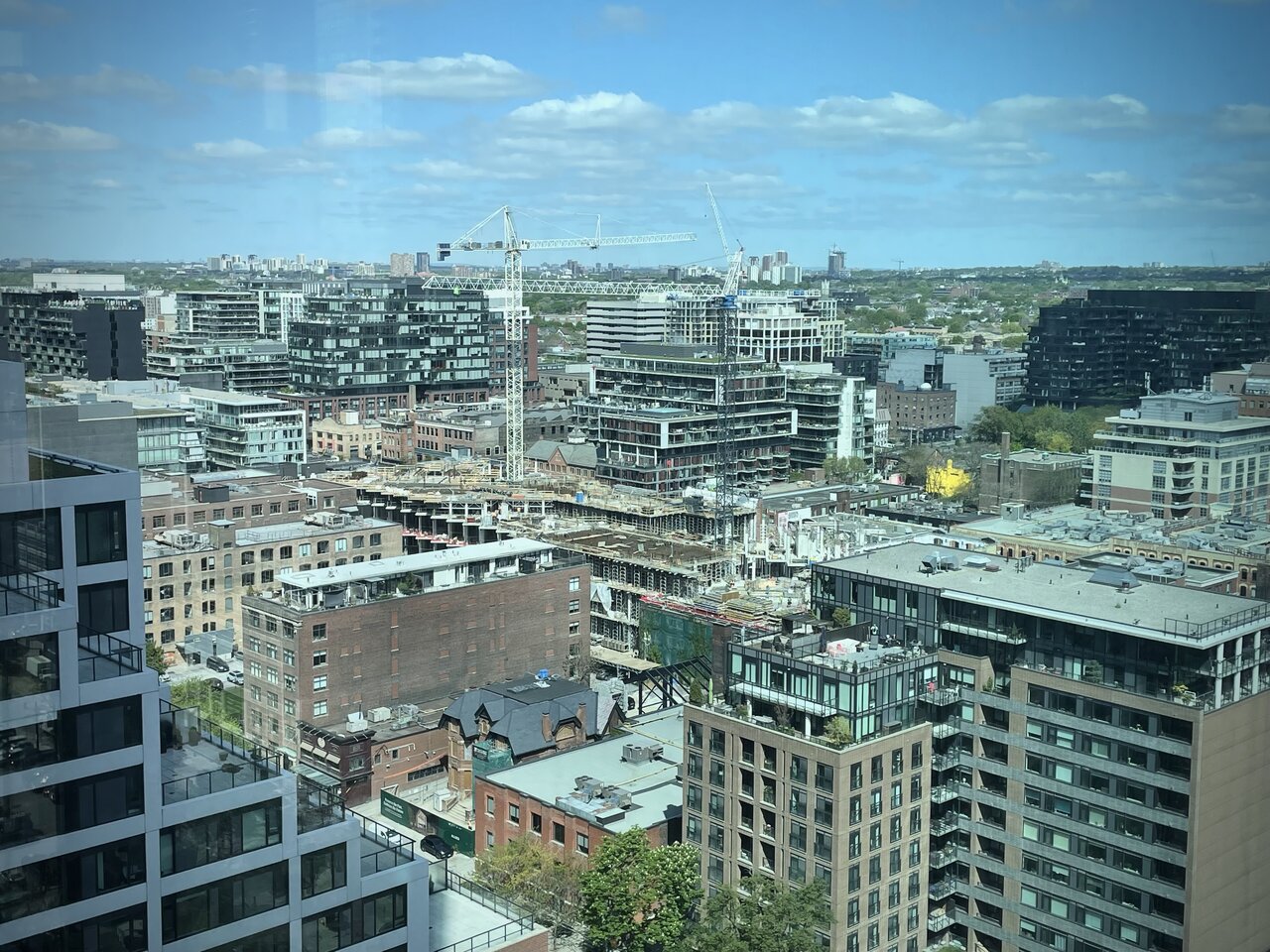 IMG_6491.jpeg