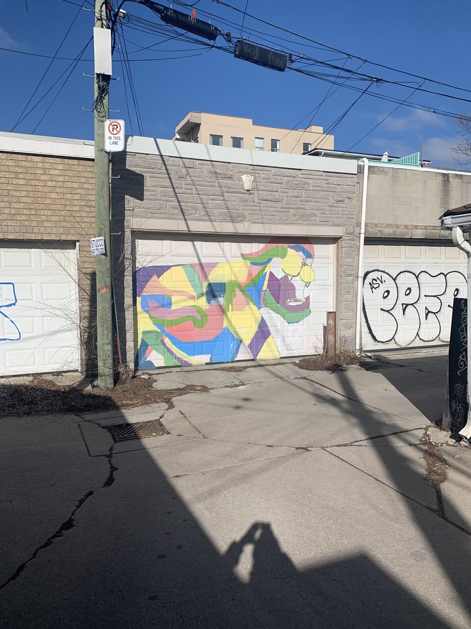 IMG_6516.jpeg