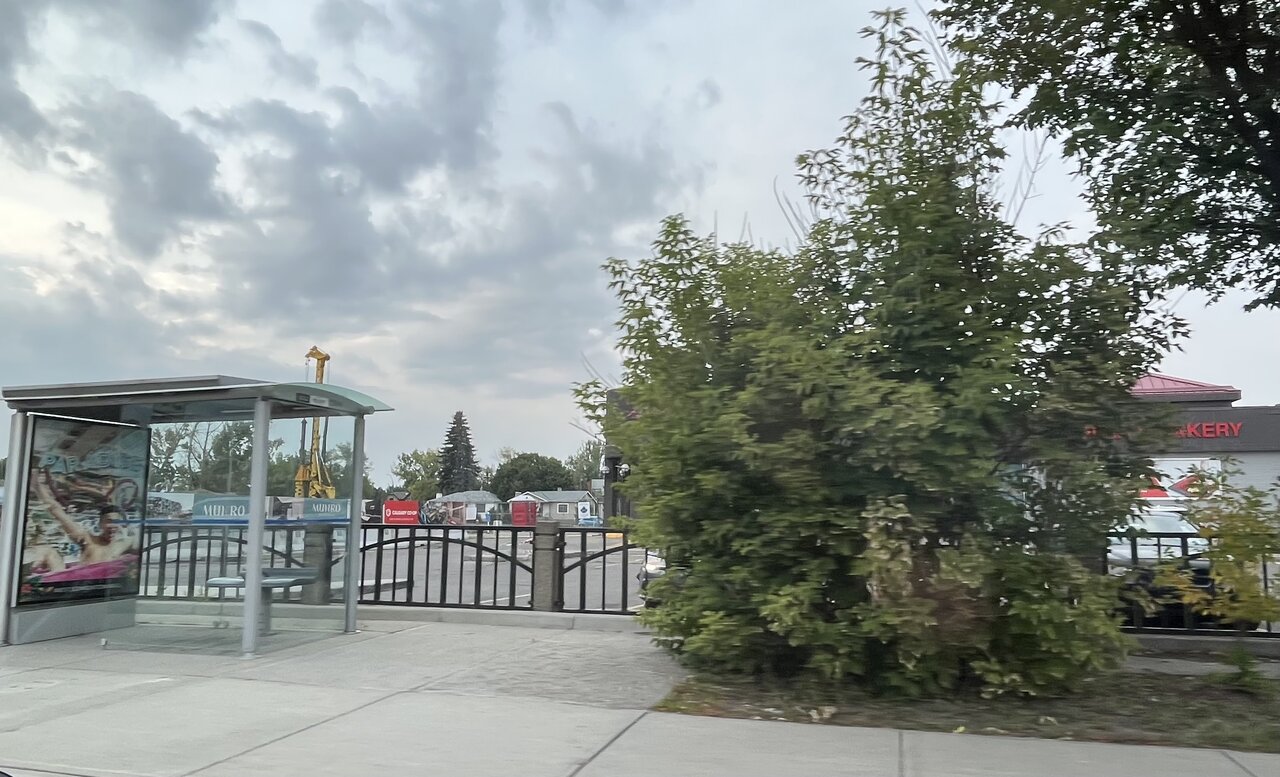 IMG_6523.jpeg