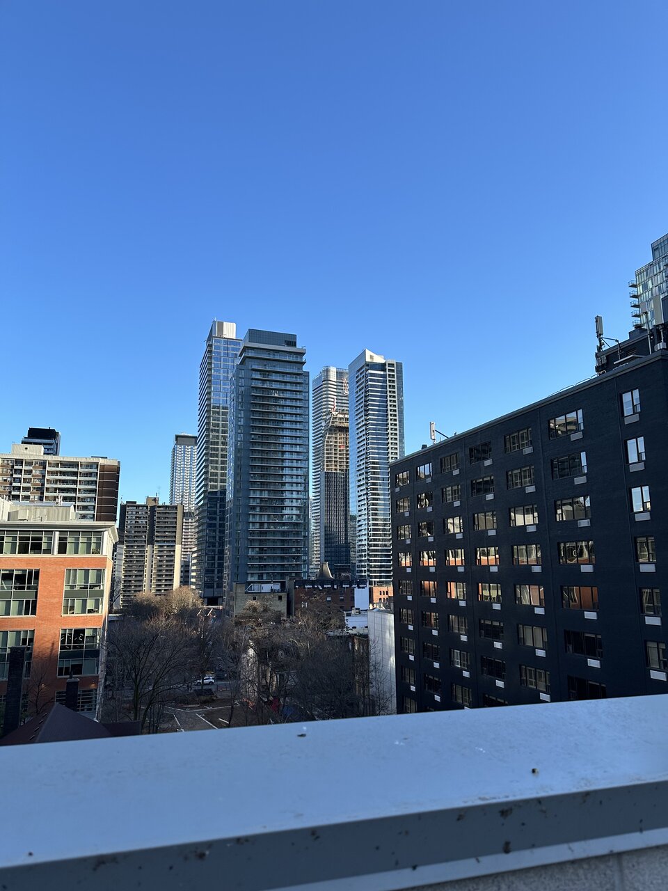 IMG_6527.jpeg