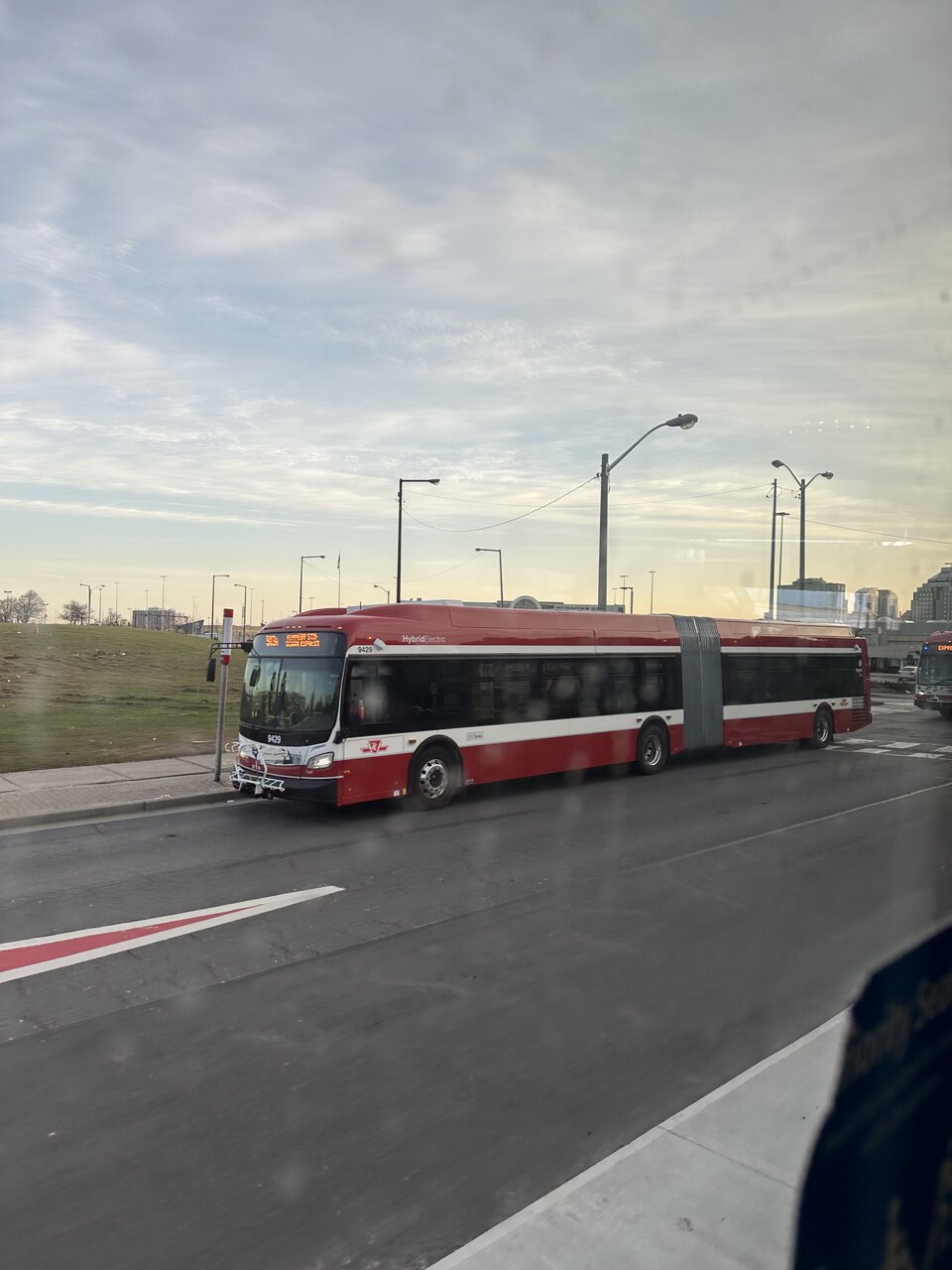 IMG_6567.jpeg