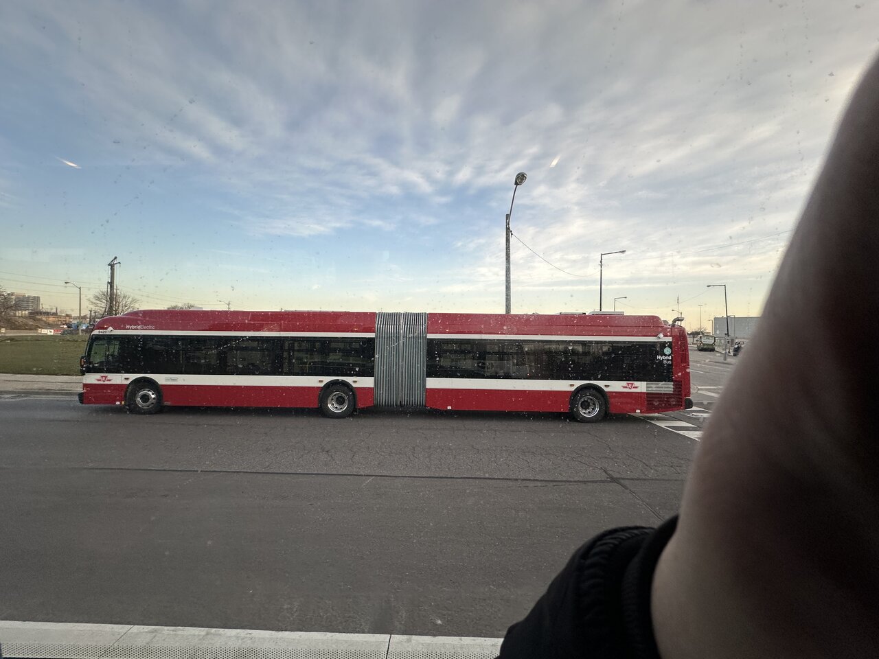 IMG_6568.jpeg