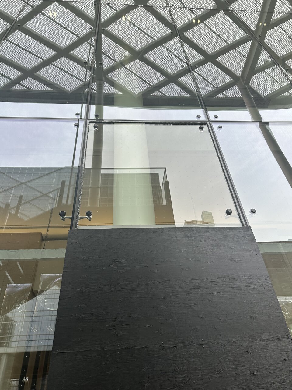 IMG_6685.jpeg