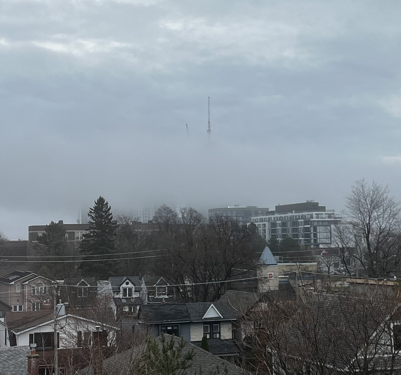 IMG_6711.jpeg